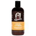 Conditioner Subscription - 2 Bottles - Shower Fresh Every Morning