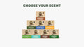 Bar Soap 8-Pack - Make Mornings Smell Better