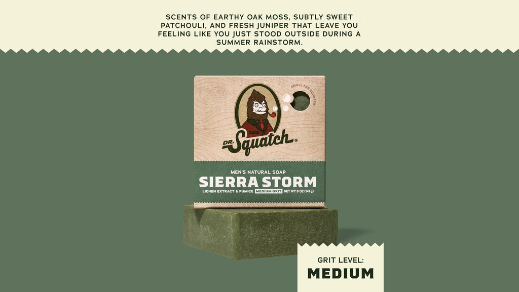 Sierra Storm - Clean Up With Confidence