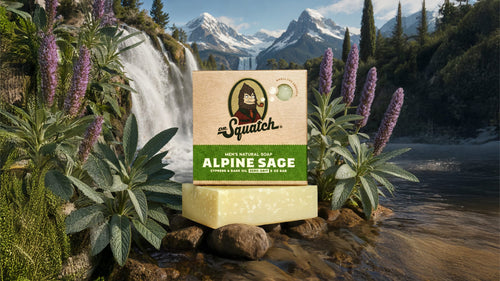 Alpine Sage - Make the Shower Upgrade