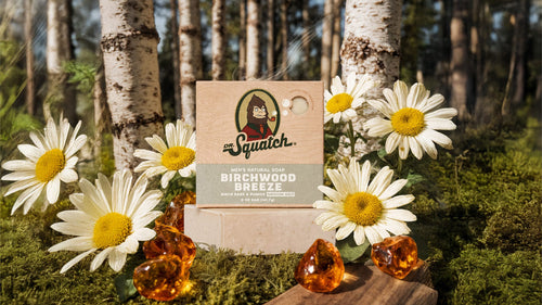 Birchwood Breeze - Smell Clean and Stay Sharp
