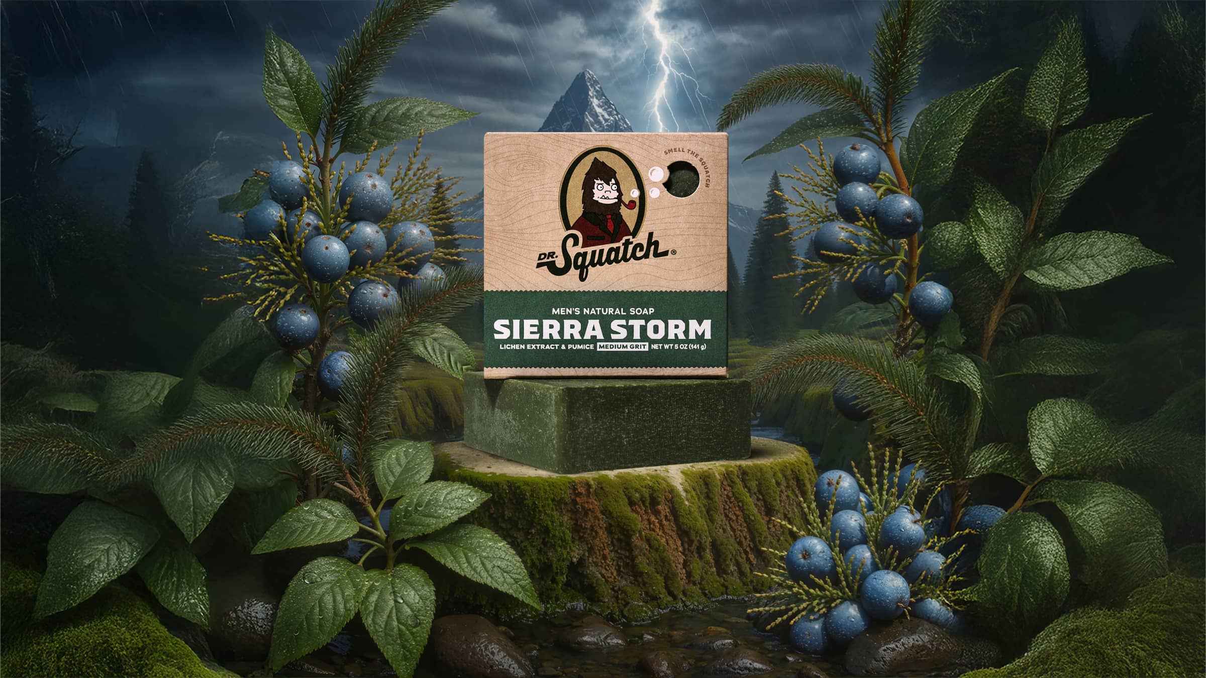 Sierra Storm - Clean Up With Confidence