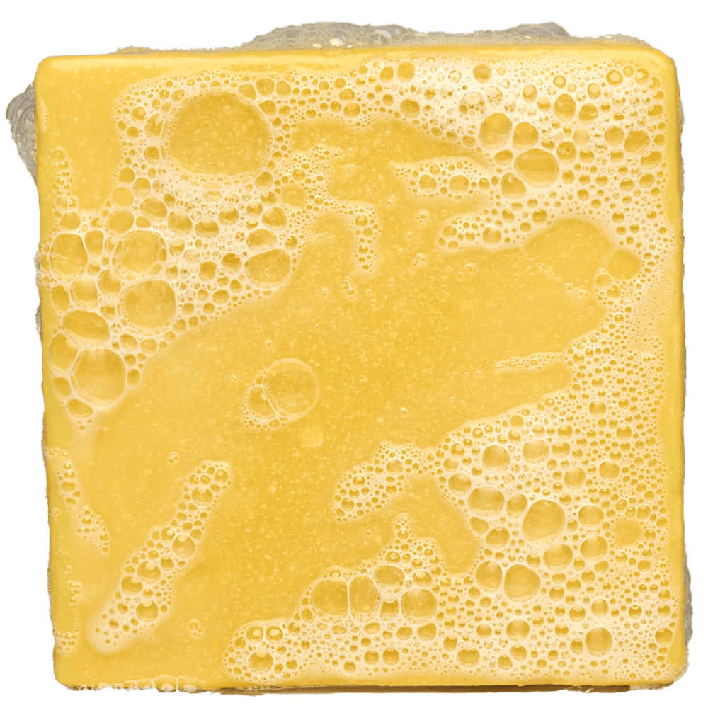 Nautical Nonsense - Enter the No Boring Soap Zone