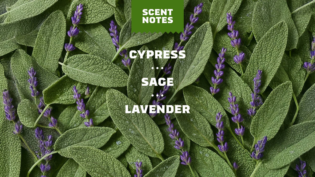 Alpine Sage - Make the Shower Upgrade