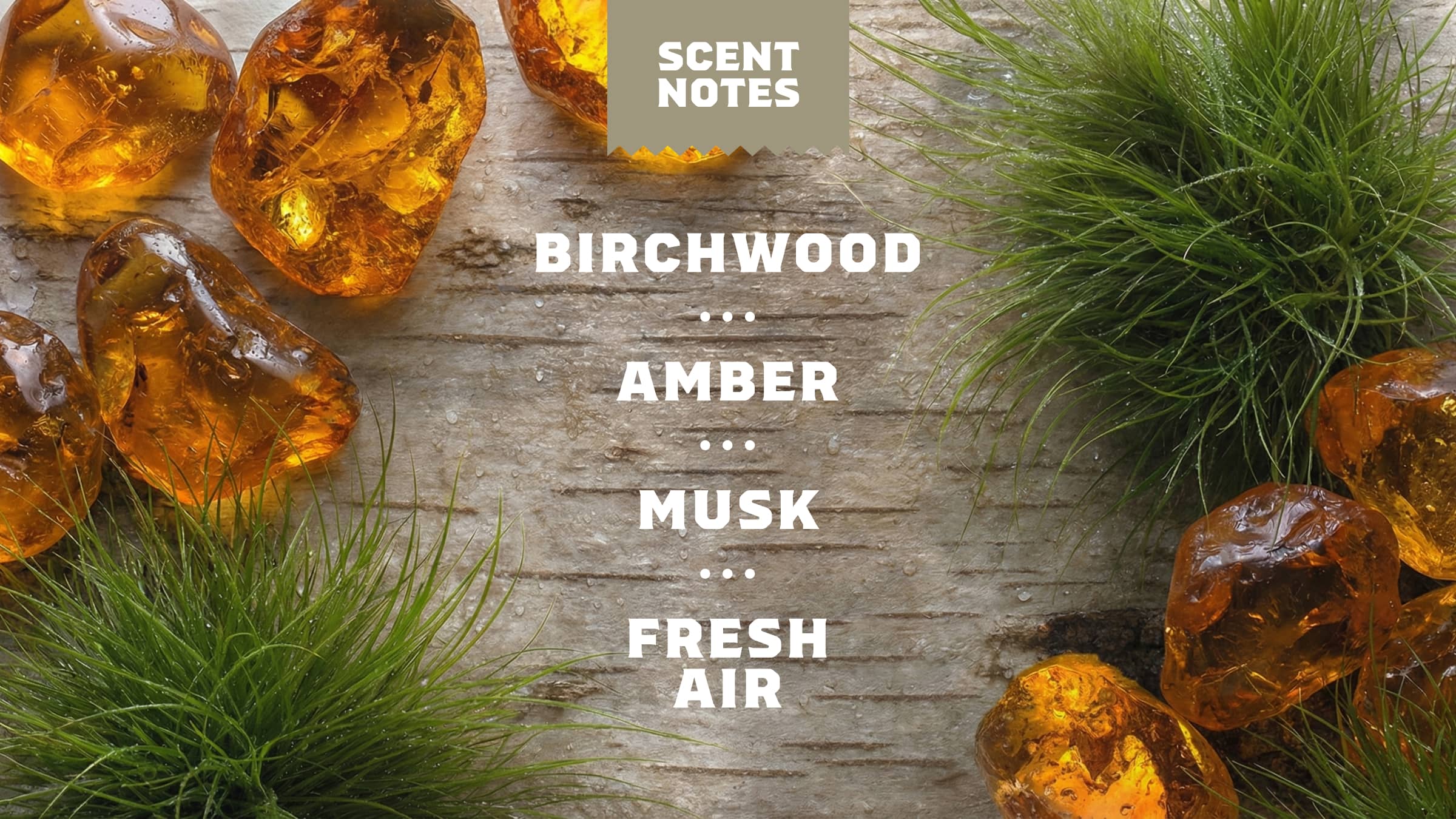 Birchwood Breeze Invisible Glide Deodorant - Keep Clean Simple