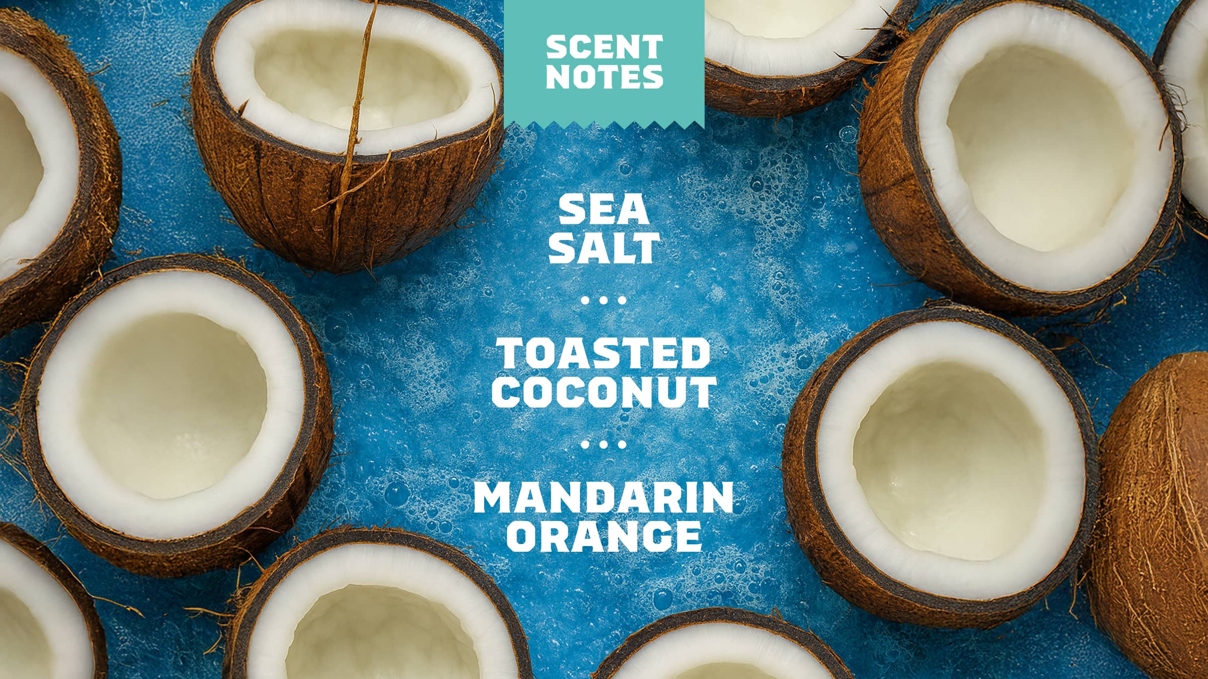 Coconut Castaway Refreshing Face Wash - Clean Made for Real Life