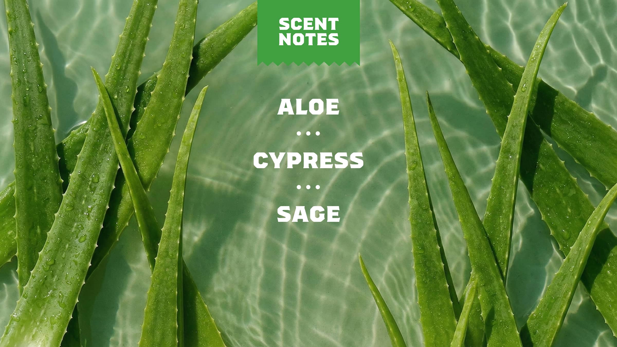 Cool Fresh Aloe Exfoliating Face Wash - Soap That Feels Like Gear