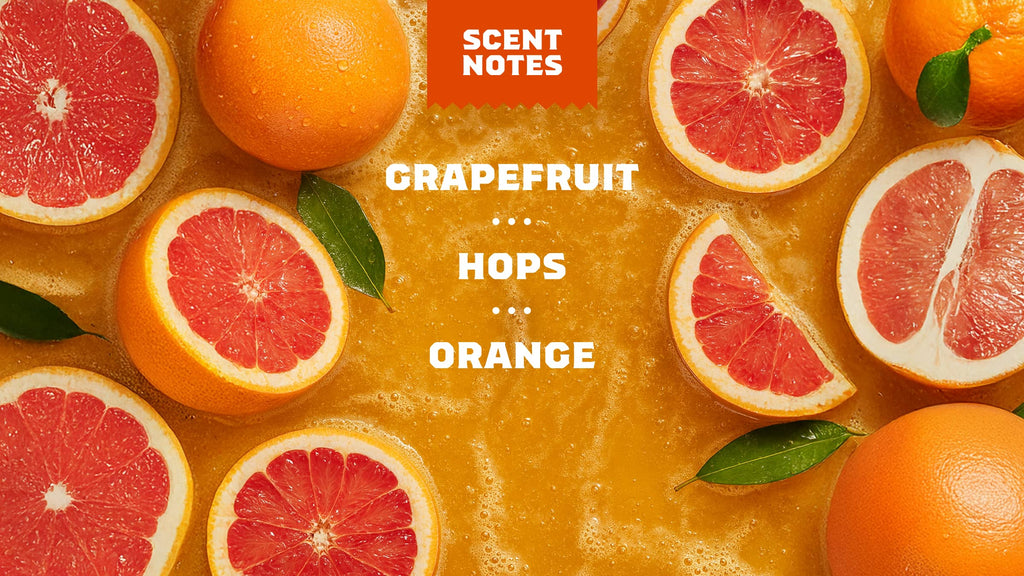 Grapefruit IPA - Clean That Feels Right
