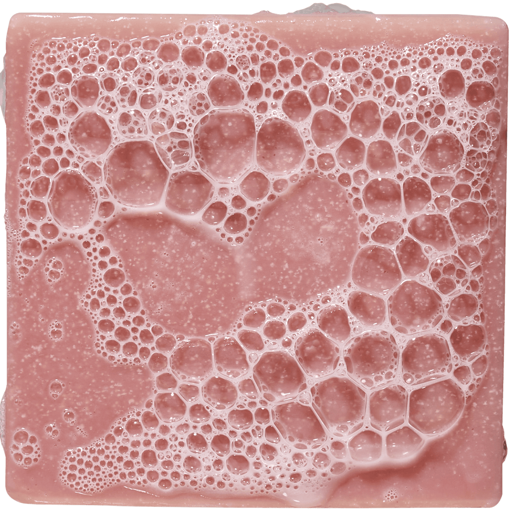 Sea Star Shenanigans - Give Your Soap a Raise