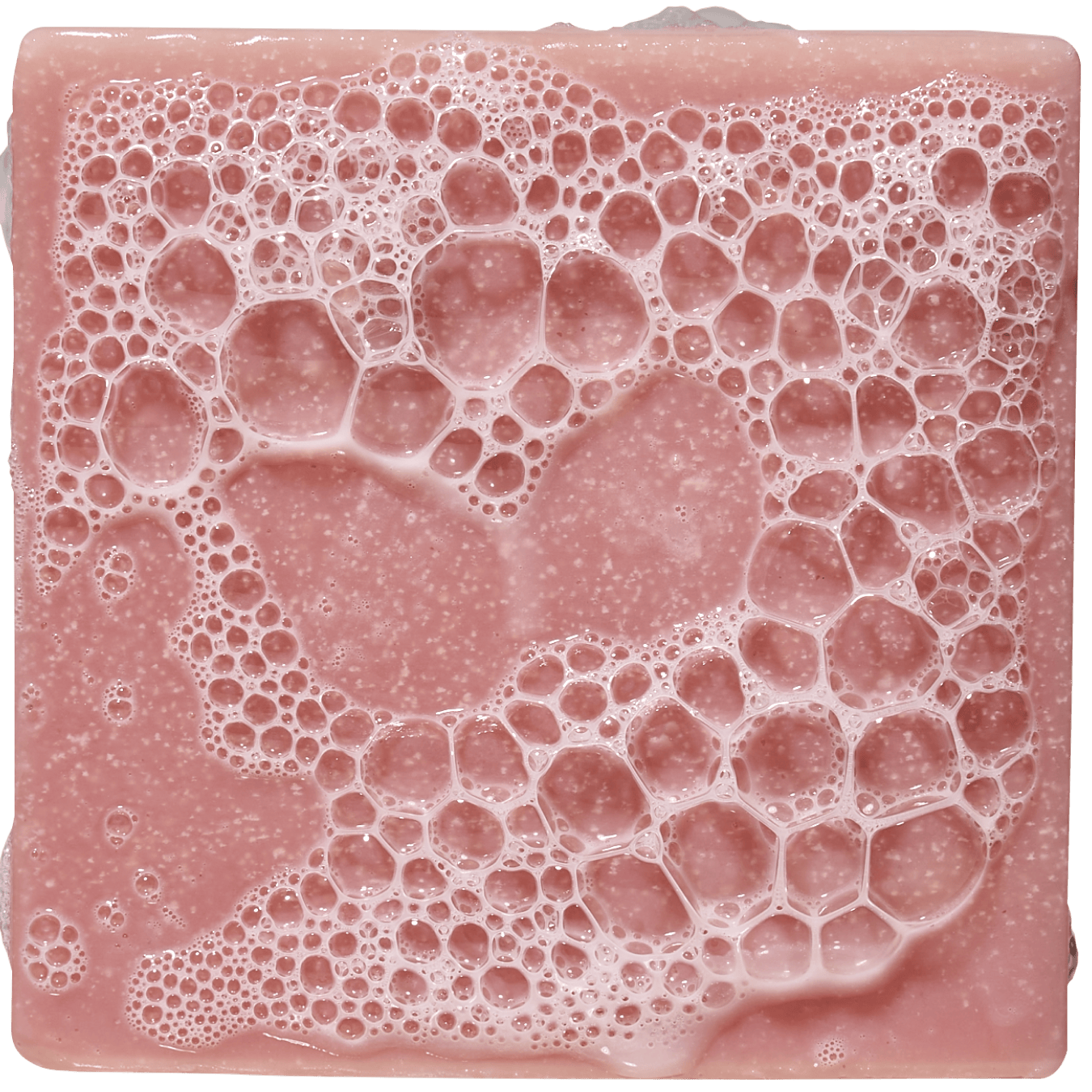 Sea Star Shenanigans - Give Your Soap a Raise