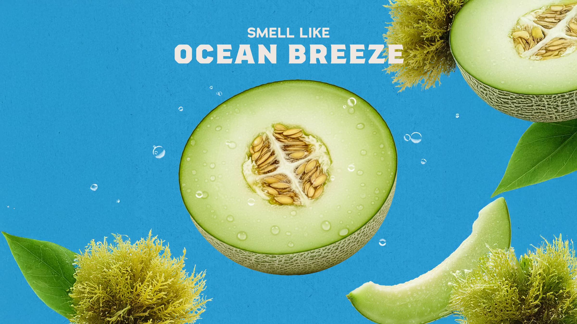 Coastal Mist - Soap That Feels Like Gear