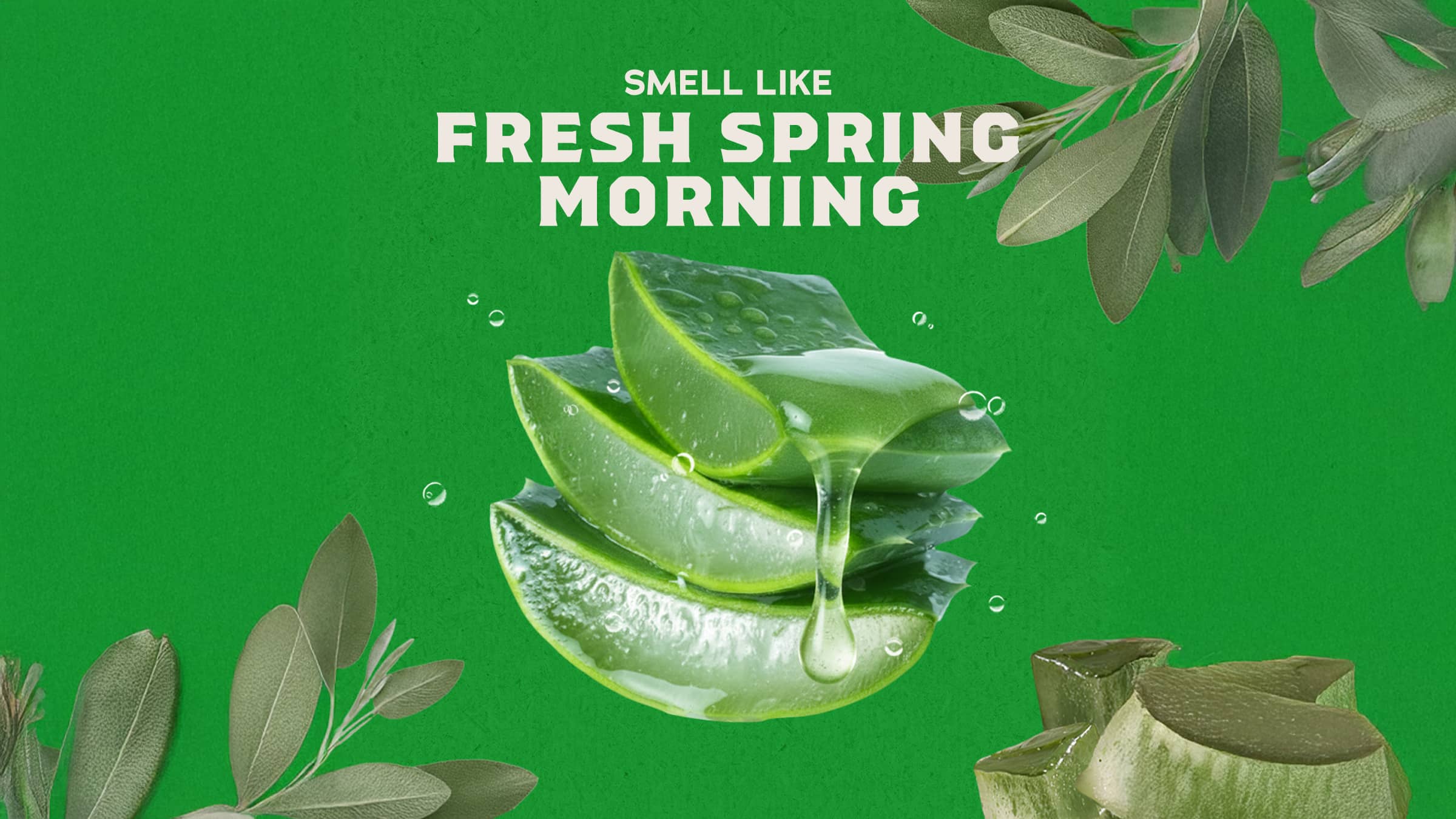 14 oz Cool Fresh Aloe Body Wash - Clean Up Your Routine