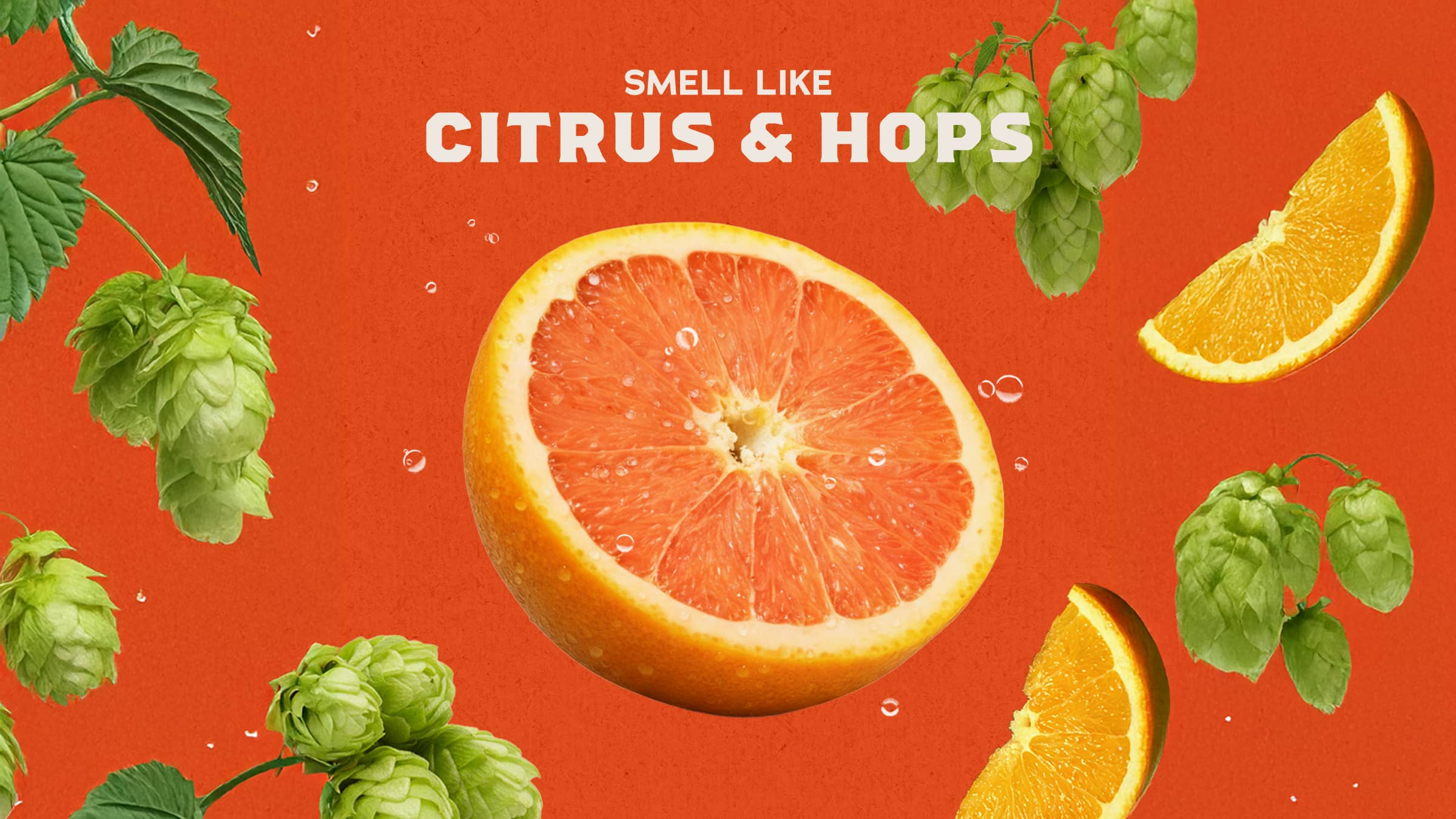 Grapefruit IPA - Clean That Feels Right