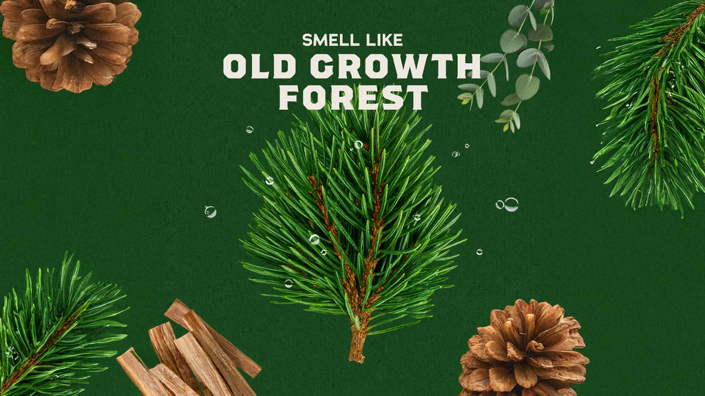 Pine Tar Lotion - Freshness in Every Bar