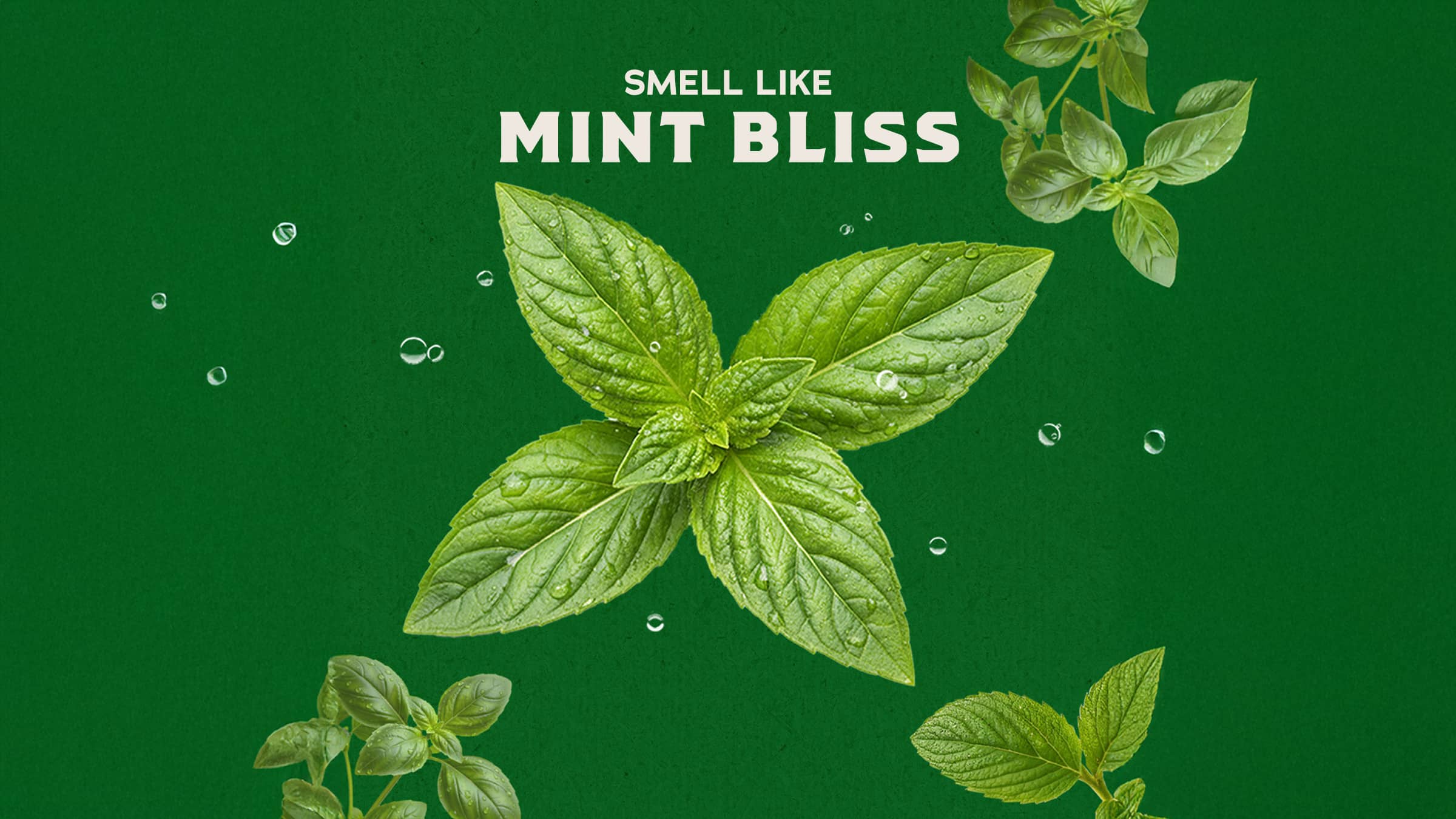 Spearmint Basil - Your Better Shower Choice