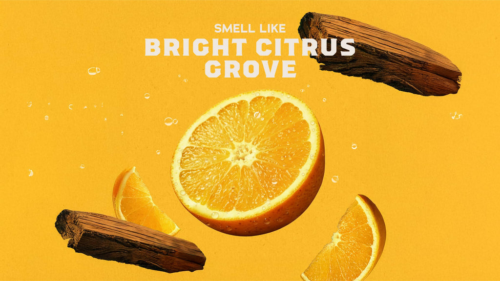 Summer Citrus Invisible Glide Deodorant - Make Your Routine Work