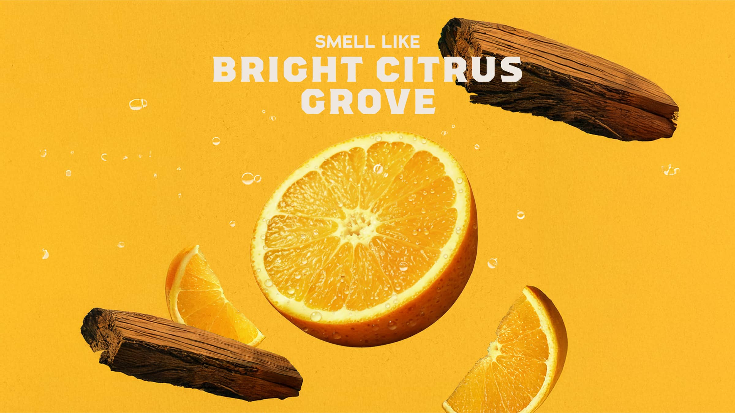 14 oz Summer Citrus Body Wash - Upgrade Your Shower Time